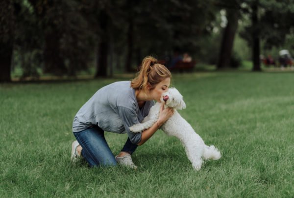 zwierzęta-psychologia